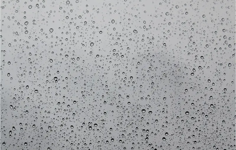 ���� ����-������