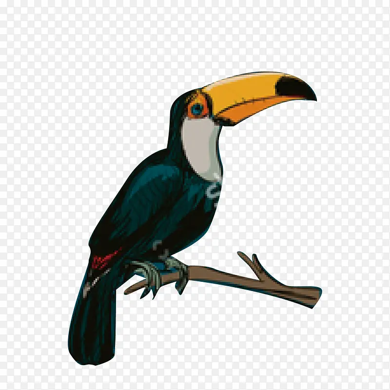 ��ͨ��֦�ϵ������-������