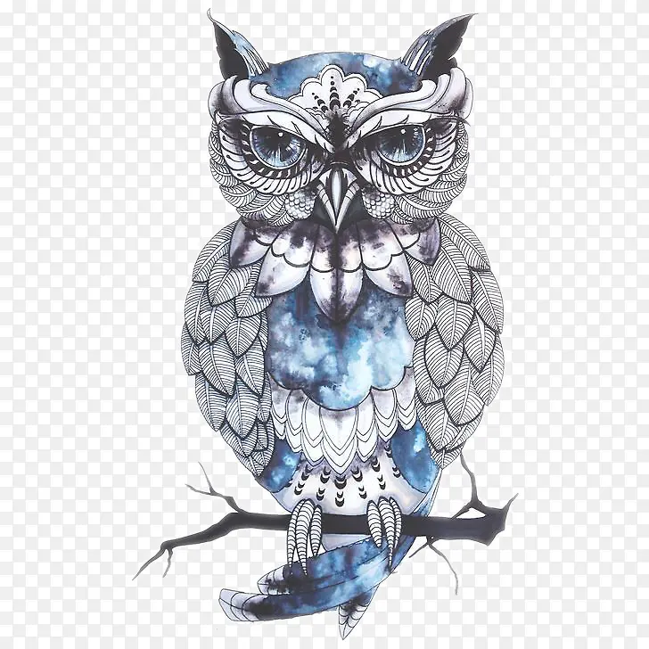 èͷӥ����-������