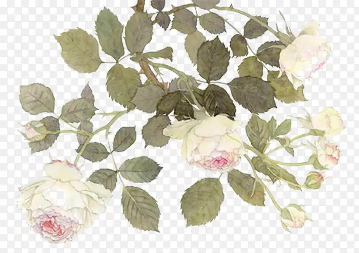 ��ɫ�軨-������