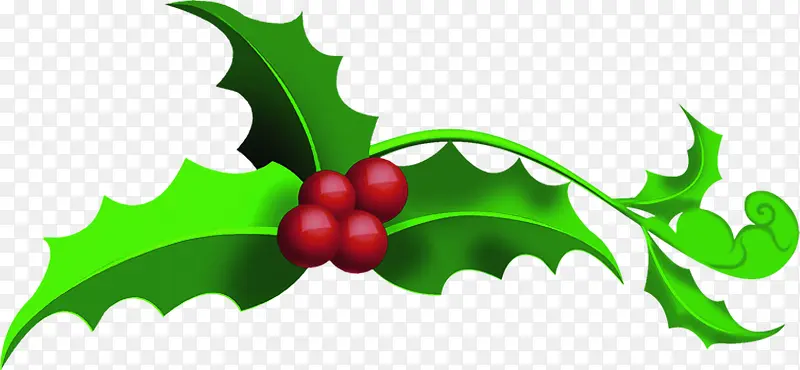 ��������ʥ����Ҷ��-������