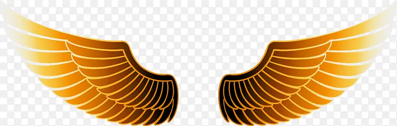 ��ɫ���-������