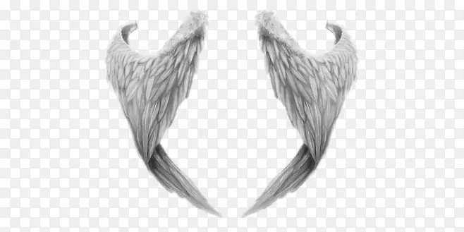 ��ɫ����װ��ͼ��-������