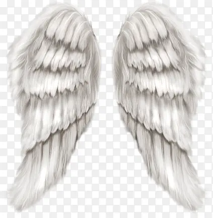 ��ɫ��������-������