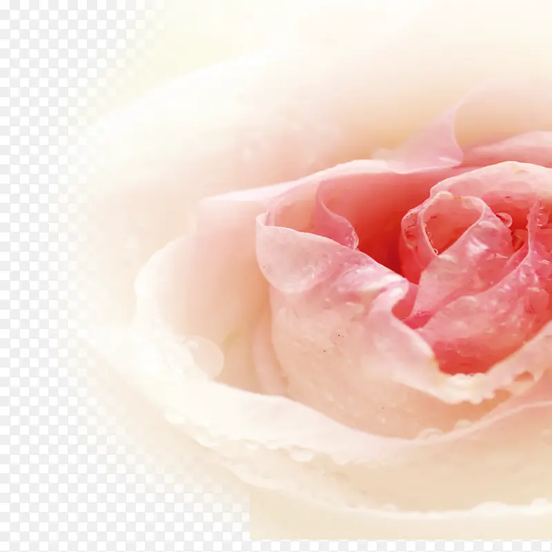 ����-������