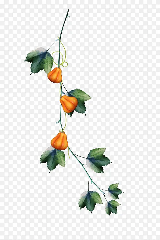 ��ɫ�Ϲ�-������