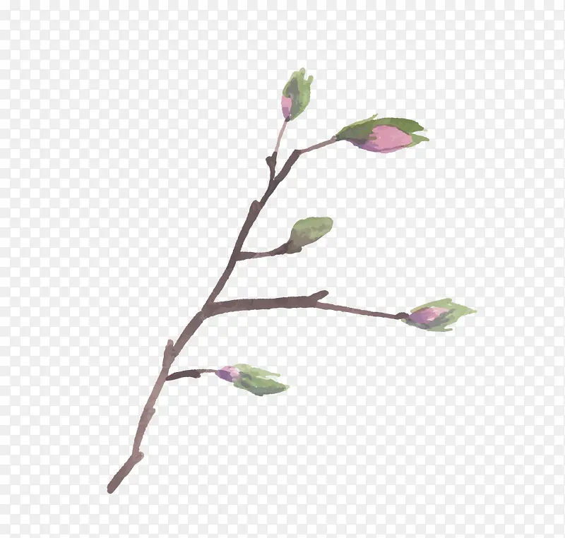 �ֻ���֦��ѿ-������