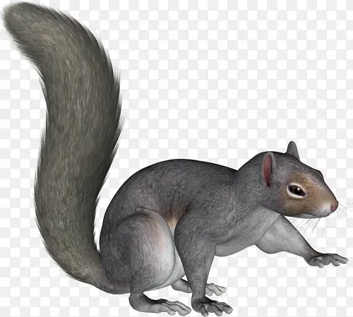 �ֻ�����-������