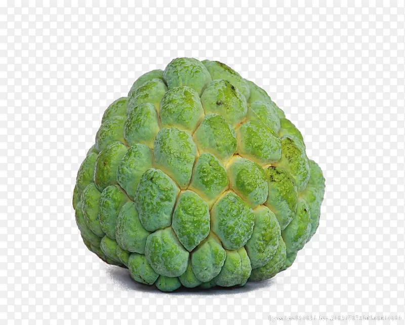 ������ˮ��-������