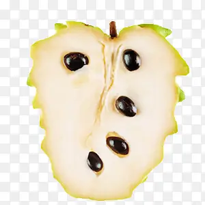 �п�������ˮ��-������