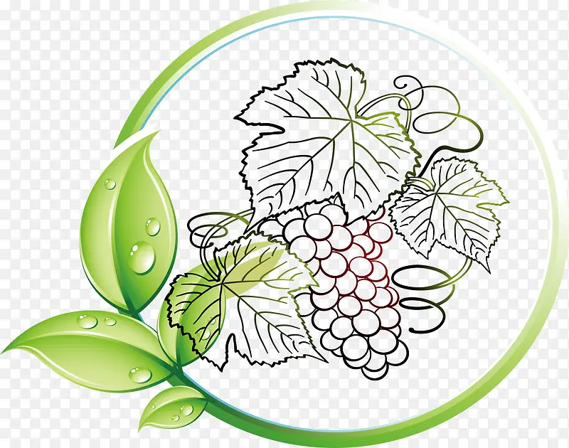 ���Ѿ������ʶ���-������