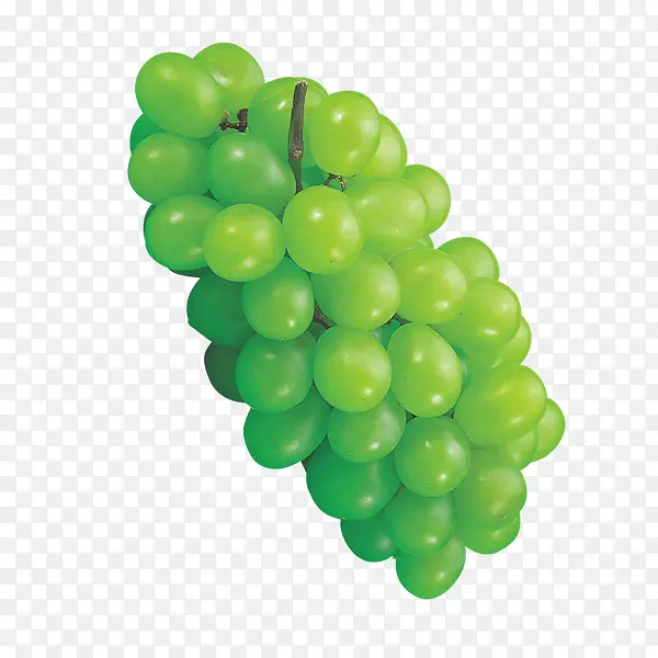 ��ɫ����-������