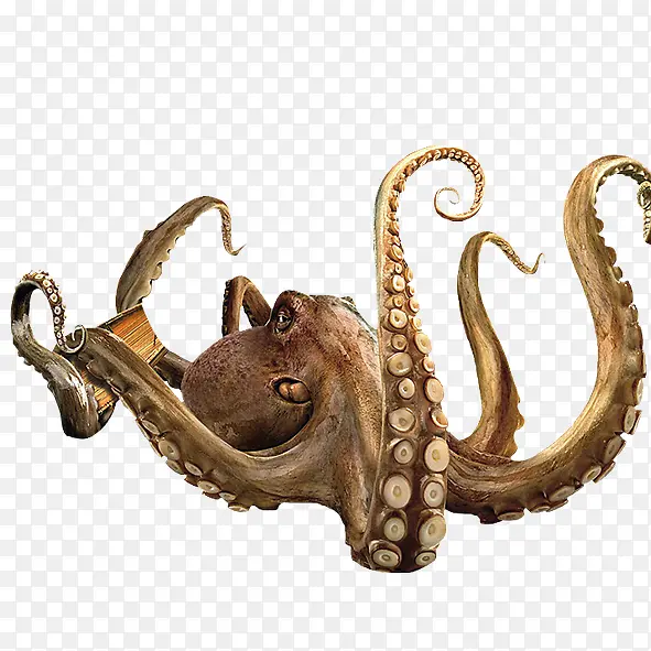 ������Ӱ��ֻ�ŵ�����-������