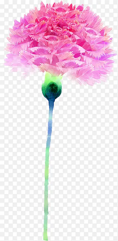 ��ɫѤ����ɫ����-������