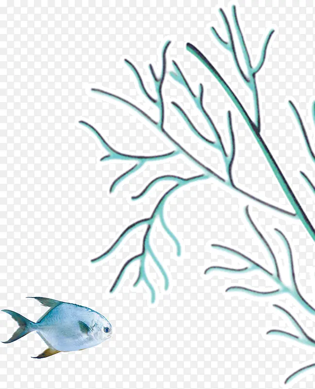 ��ɫС�㺣��-������