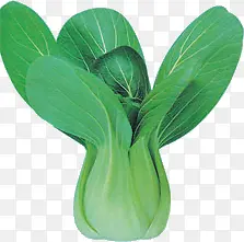 �߲��߲��ز� ���޲�-������