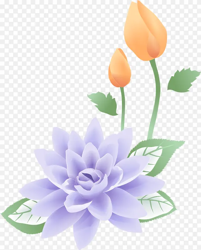 �ֻ���ɫ�ɻ�-������