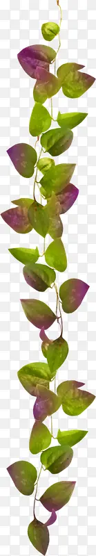 ��֦����-������