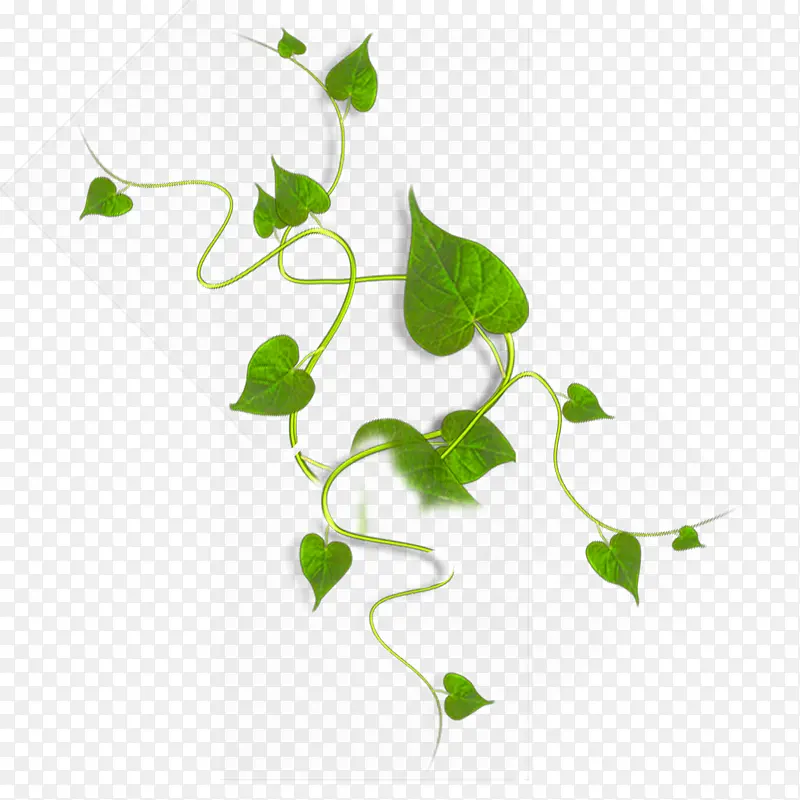 ����-������