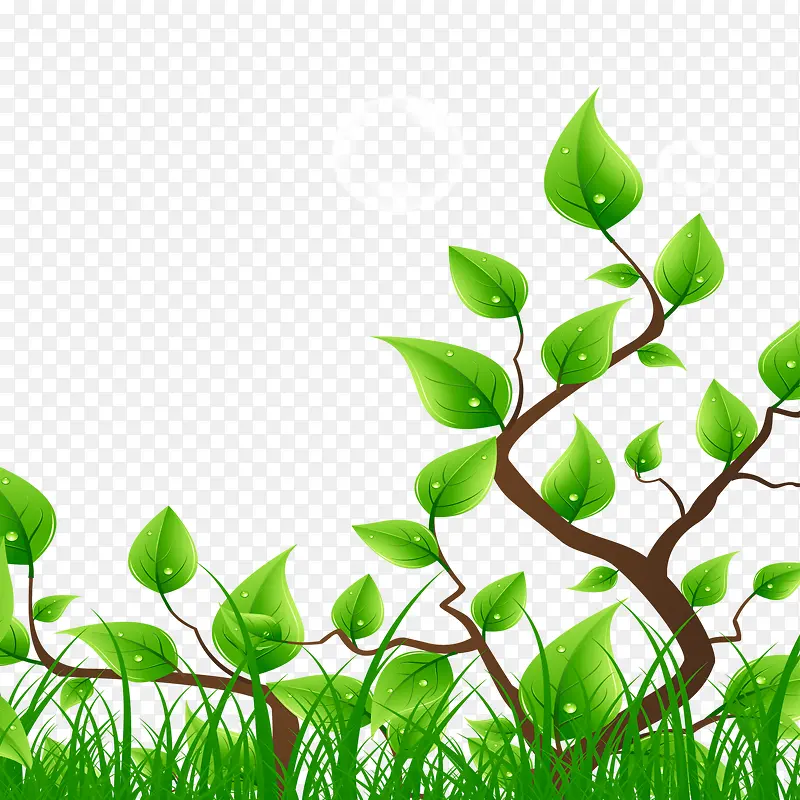 ��֦-������