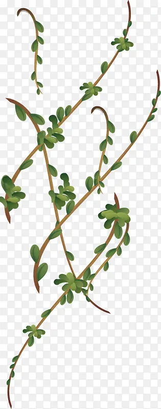 ��֦����ʸ���ز�-������