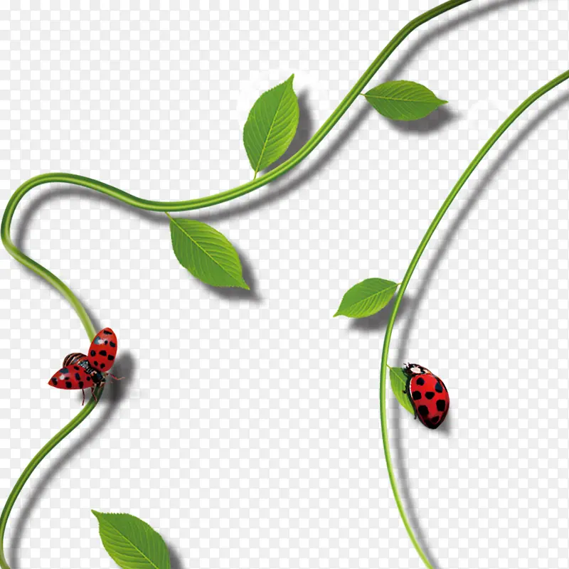 ����-������