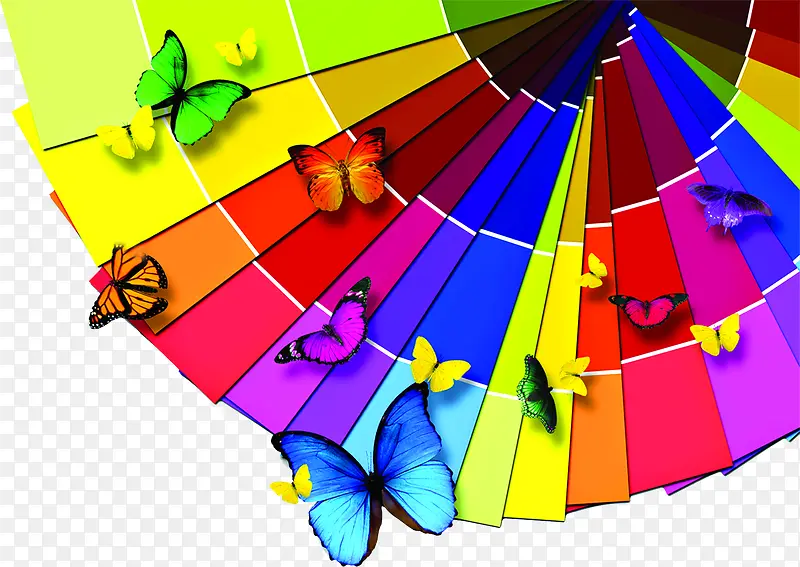 ��ɫ��������-������