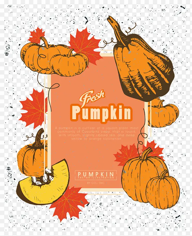 �Ϲϵ�������-������