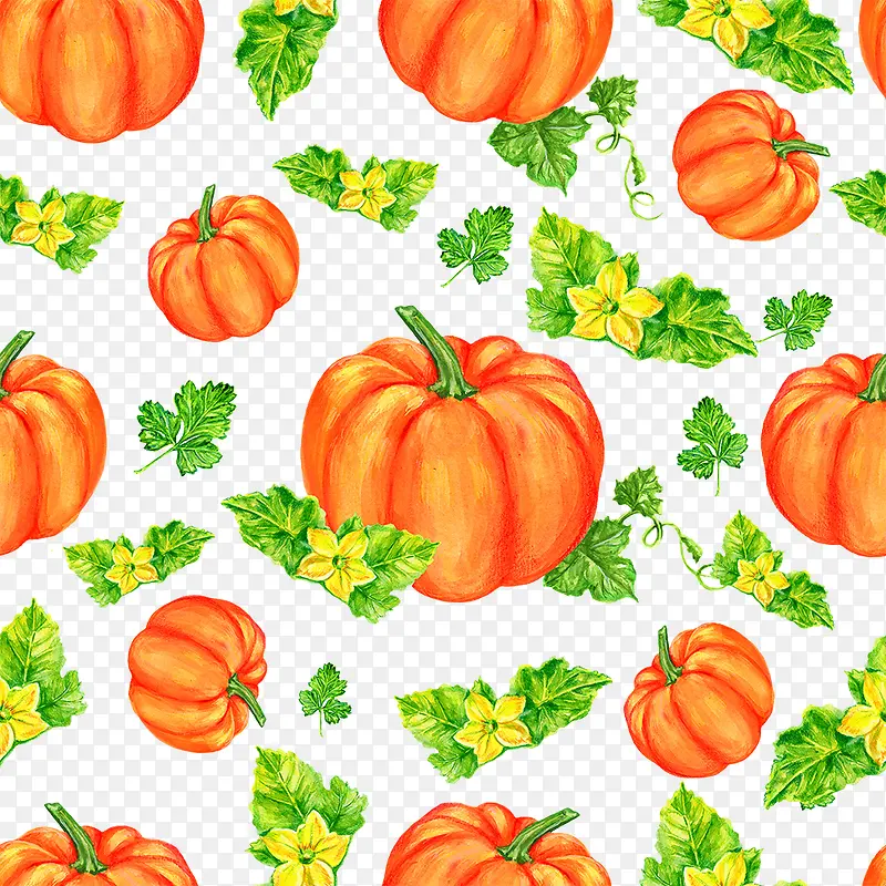 ��ɫ�Ϲϵ���-������