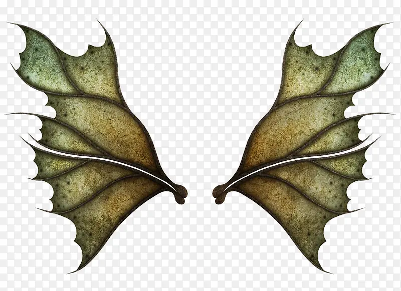 ��ħ֮��-������