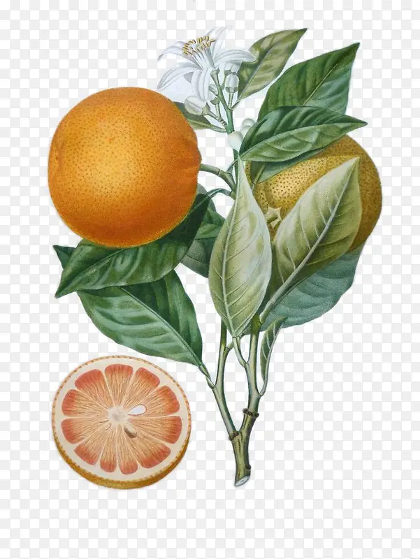 �ֻ������-������