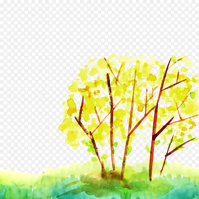 ��Ҷ-������