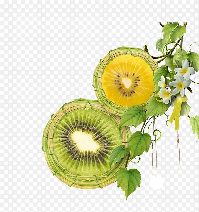 �����ɫ⨺�����֦����-������