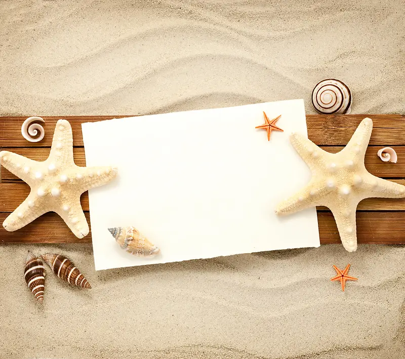 ɳ̲ľ�屳��-������