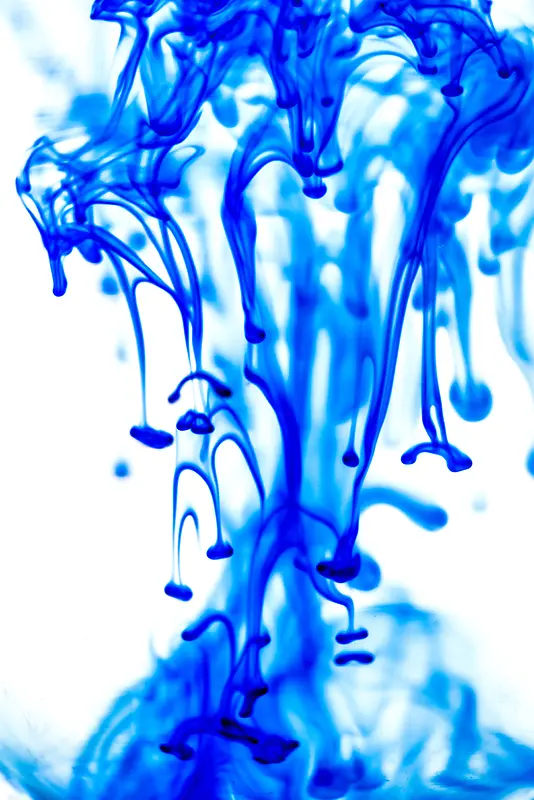 ��ɫˮī����-������