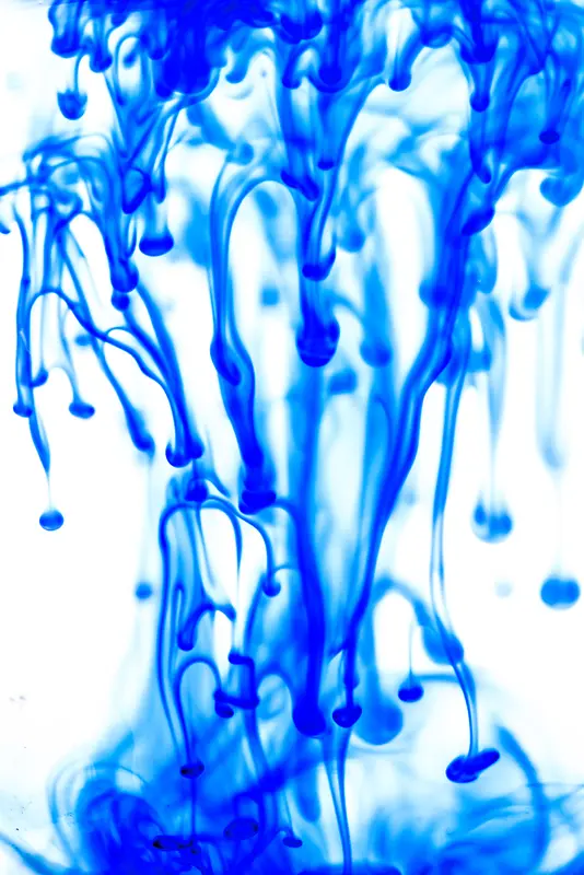 ��ɫī����������-������