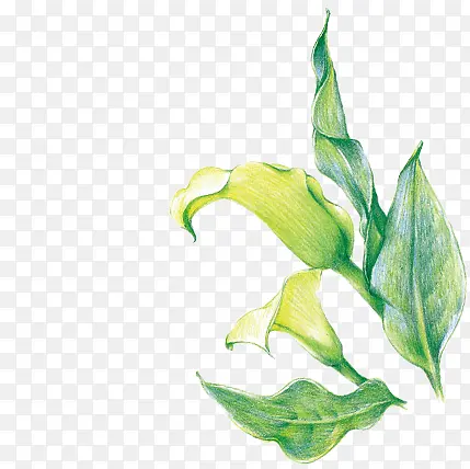 ��Ӱ��Ҷ��ҳЧ��Ԫ��-������