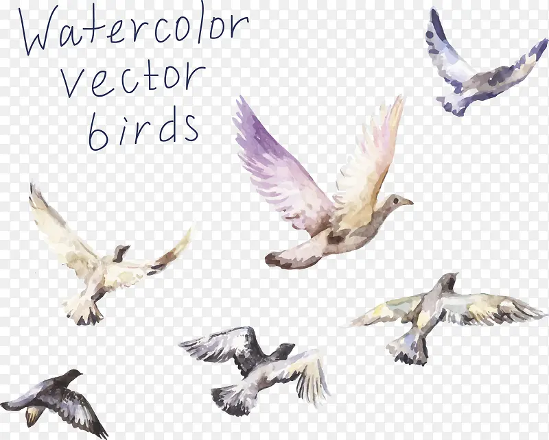 ˮ�ʷ���-������