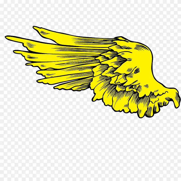 �����Ӱ-������