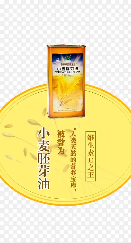 С����ѿ��-������