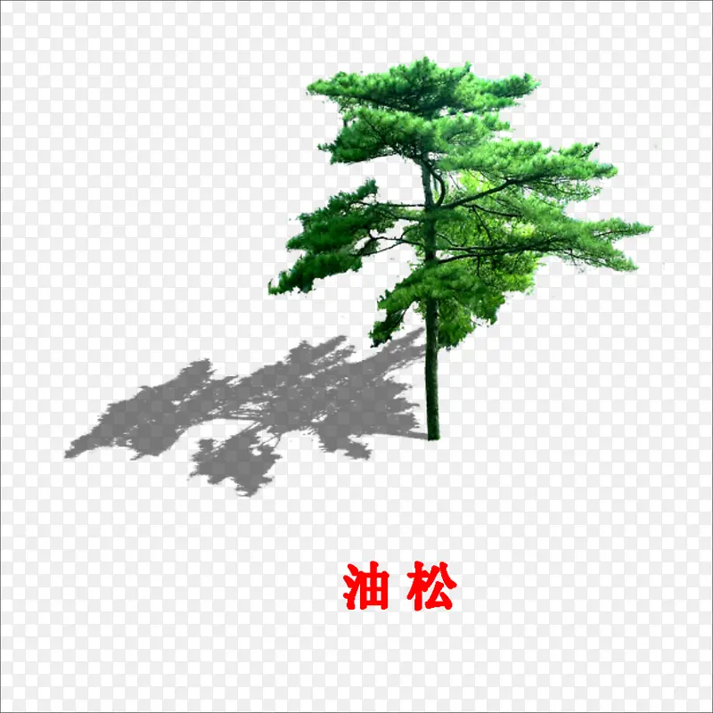 ����-������