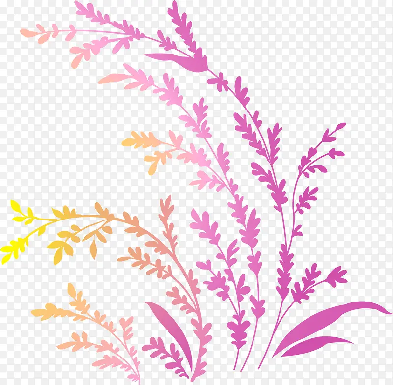 ��ɫֲ�ﻨ��-������