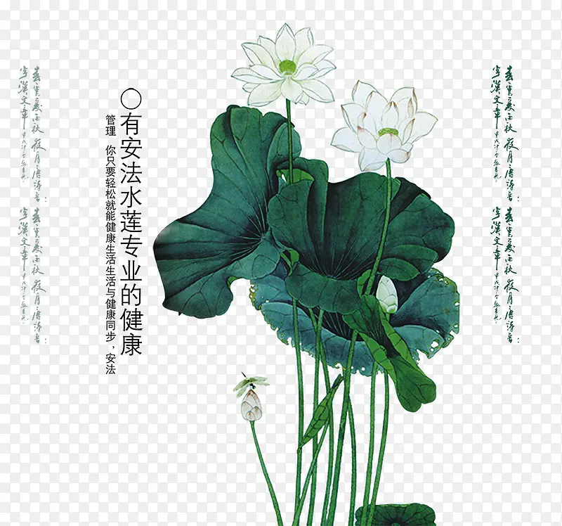 ����ˮ��-������