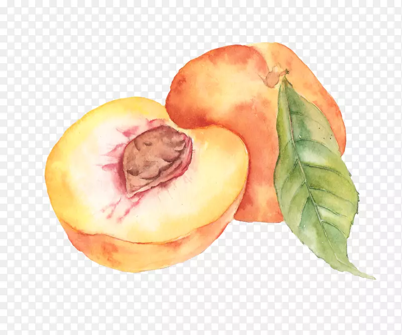 ˮ�ʻ�-�һ�-������