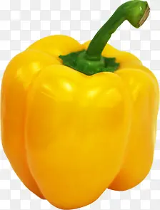 ��ɫ���崺���߲�װ��-������