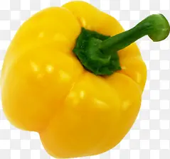 ��ɫ���崺���߲�-������