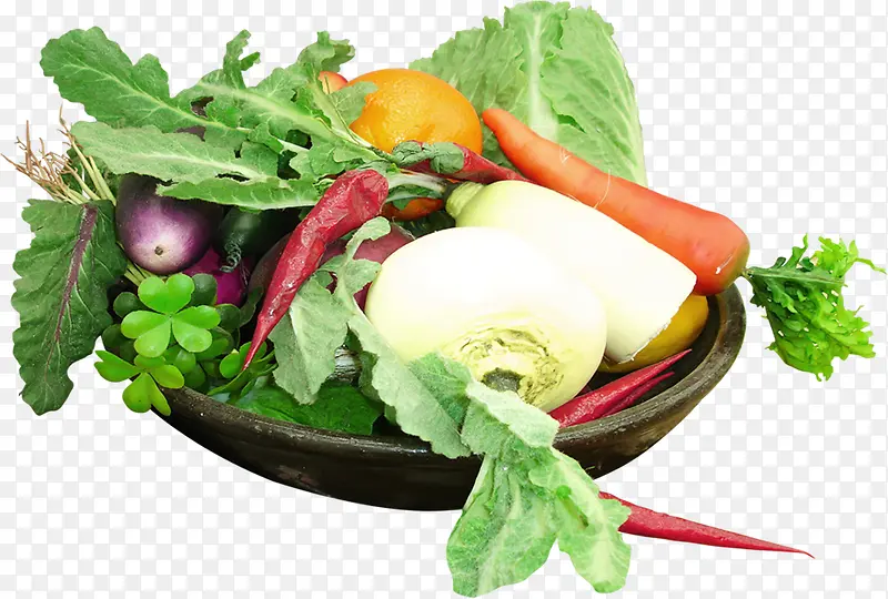 ��ɫ���������߲�-������