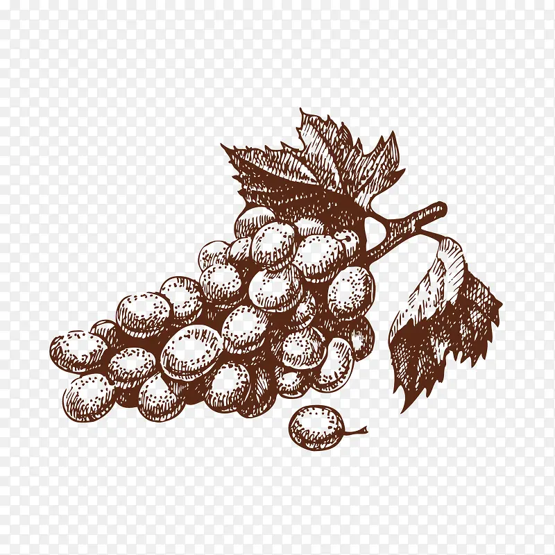 ��ͨ�ֻ�����-������