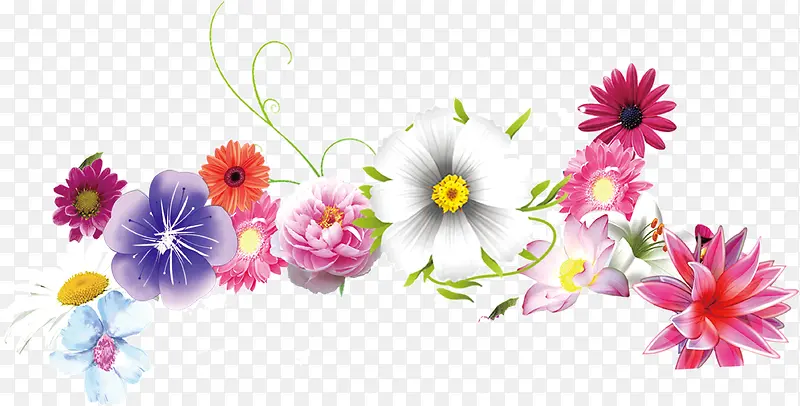 ���С��-������