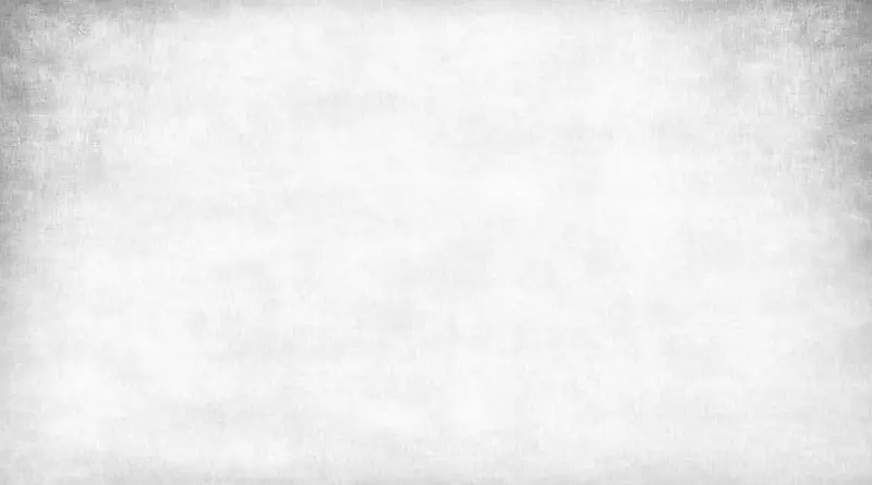 ��ɫ����-������